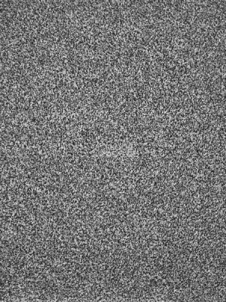 Ковролин AW Terra 97 фото 1 | FLOORDEALER